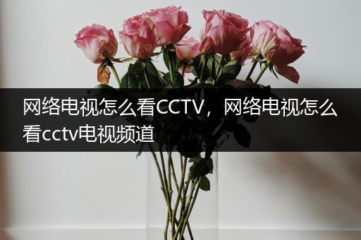 网络电视怎么看CCTV，网络电视怎么看cctv电视频道