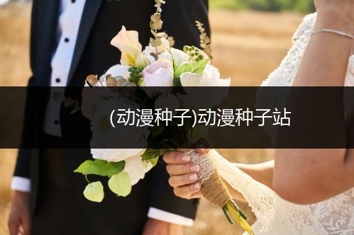 （动漫种子)动漫种子站