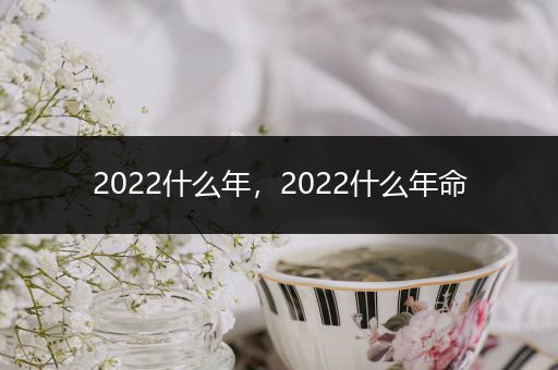 2022什么年，2022什么年命