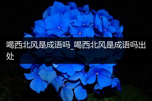喝西北风是成语吗_喝西北风是成语吗出处