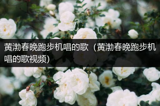 黄渤春晚跑步机唱的歌（黄渤春晚跑步机唱的歌视频）