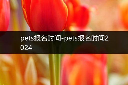 pets报名时间-pets报名时间2024
