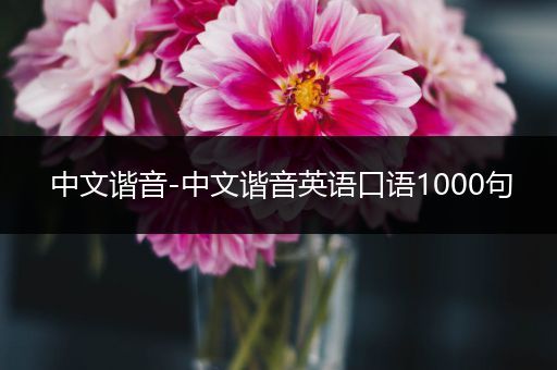 中文谐音-中文谐音英语口语1000句