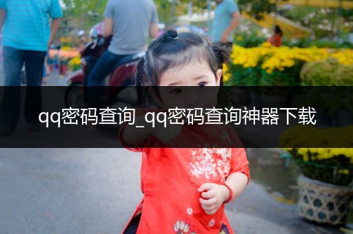 qq密码查询_qq密码查询神器下载