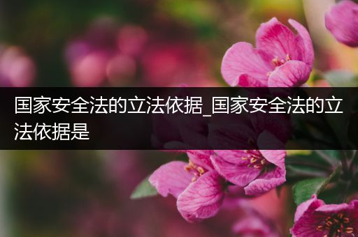 国家安全法的立法依据_国家安全法的立法依据是