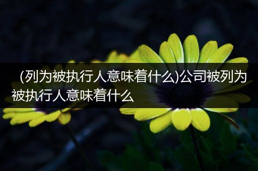 （列为被执行人意味着什么)公司被列为被执行人意味着什么