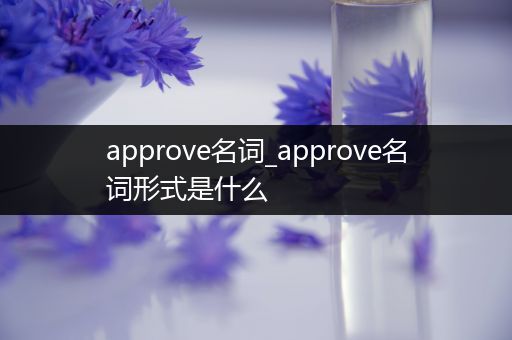 approve名词_approve名词形式是什么