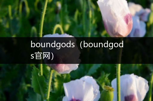 boundgods（boundgods官网）