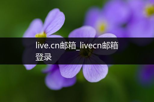live.cn邮箱_livecn邮箱登录