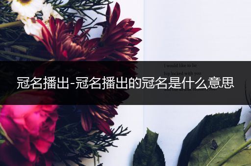 冠名播出-冠名播出的冠名是什么意思