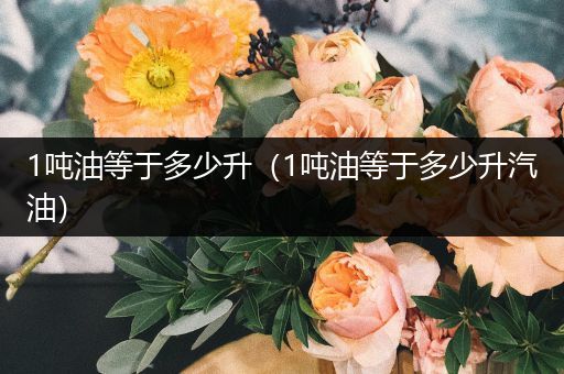 1吨油等于多少升（1吨油等于多少升汽油）