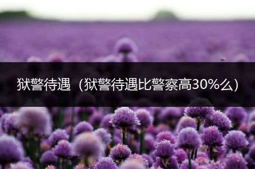 狱警待遇（狱警待遇比警察高30%么）