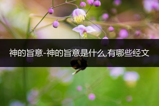 神的旨意-神的旨意是什么,有哪些经文-比翼知识网