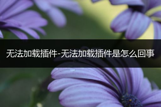 无法加载插件-无法加载插件是怎么回事