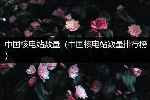 中国核电站数量（中国核电站数量排行榜）