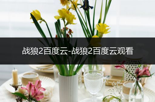 战狼2百度云-战狼2百度云观看