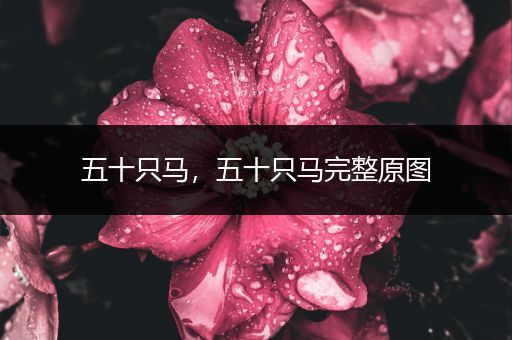 五十只马，五十只马完整原图