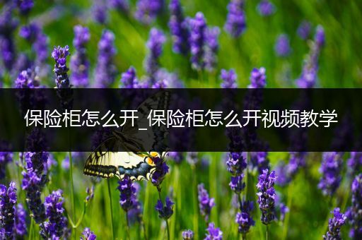 保险柜怎么开_保险柜怎么开视频教学