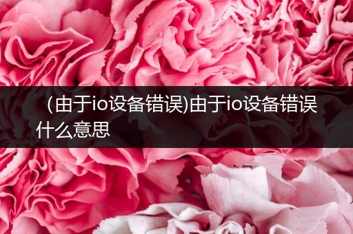 （由于io设备错误)由于io设备错误什么意思