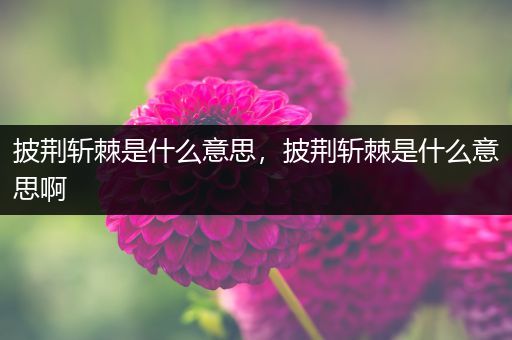 披荆斩棘是什么意思，披荆斩棘是什么意思啊