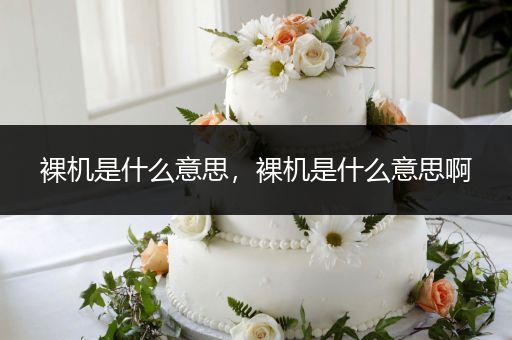 裸机是什么意思，裸机是什么意思啊
