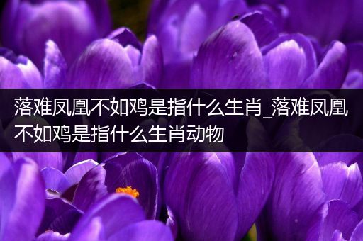落难凤凰不如鸡是指什么生肖_落难凤凰不如鸡是指什么生肖动物