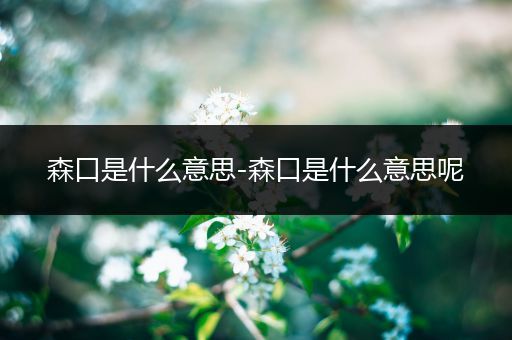 森口是什么意思-森口是什么意思呢
