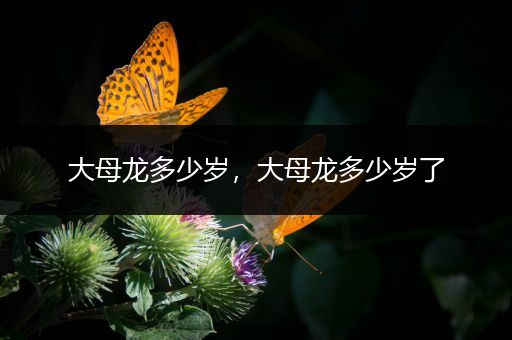 大母龙多少岁，大母龙多少岁了