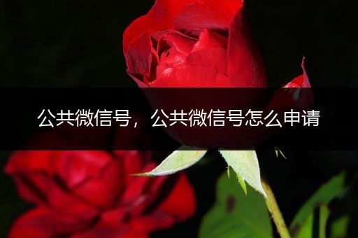 公共微信号，公共微信号怎么申请
