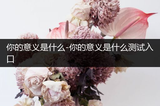 你的意义是什么-你的意义是什么测试入口
