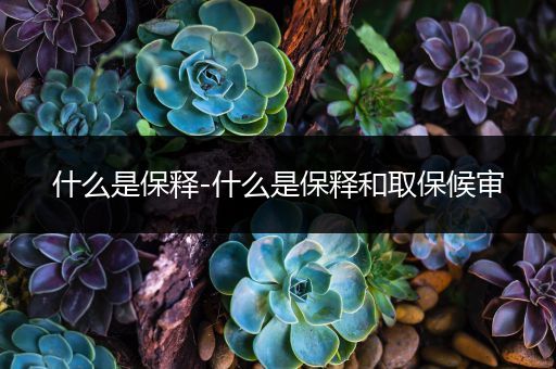 什么是保释-什么是保释和取保候审-比翼知识网