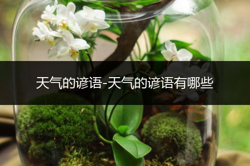 天气的谚语-天气的谚语有哪些