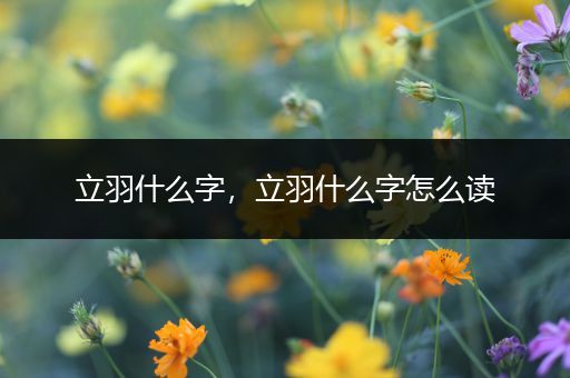 立羽什么字，立羽什么字怎么读