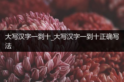 大写汉字一到十_大写汉字一到十正确写法