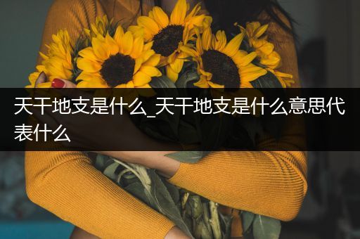 天干地支是什么_天干地支是什么意思代表什么