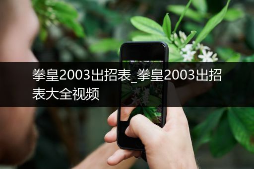 拳皇2003出招表_拳皇2003出招表大全视频