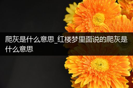 爬灰是什么意思_红楼梦里面说的爬灰是什么意思