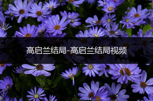 高启兰结局-高启兰结局视频