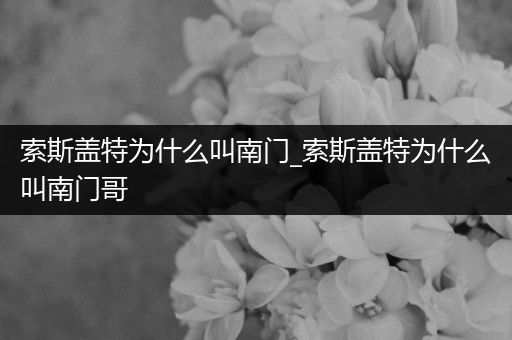 索斯盖特为什么叫南门_索斯盖特为什么叫南门哥