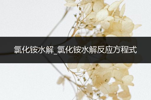 氯化铵水解_氯化铵水解反应方程式