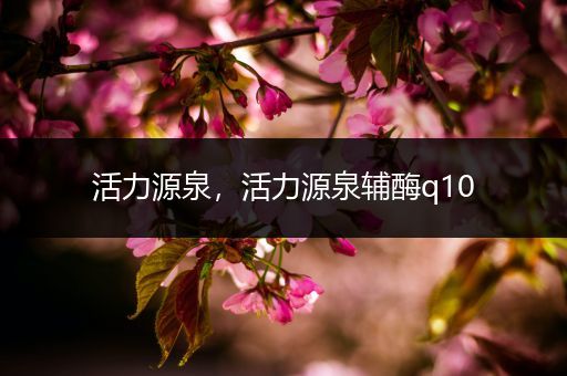 活力源泉，活力源泉辅酶q10