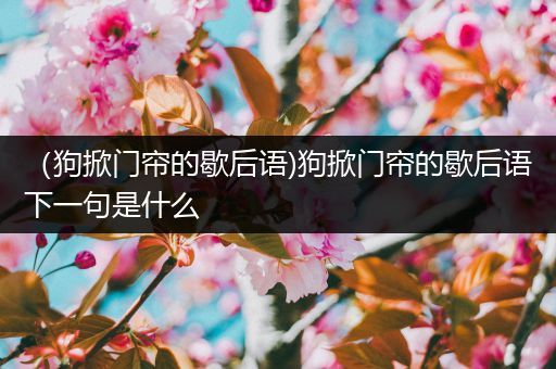 （狗掀门帘的歇后语)狗掀门帘的歇后语下一句是什么