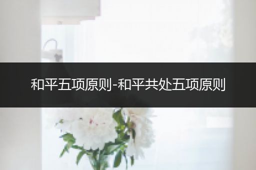 和平五项原则-和平共处五项原则