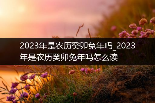 2023年是农历癸卯兔年吗_2023年是农历癸卯兔年吗怎么读