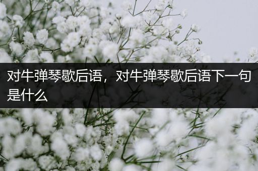 对牛弹琴歇后语，对牛弹琴歇后语下一句是什么