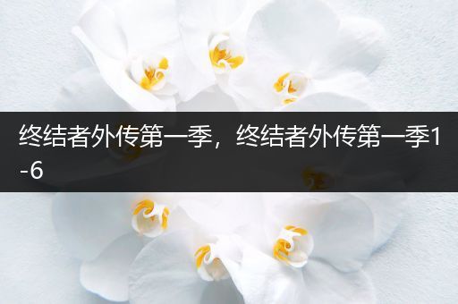 终结者外传第一季，终结者外传第一季1-6