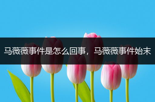 马薇薇事件是怎么回事，马薇薇事件始末