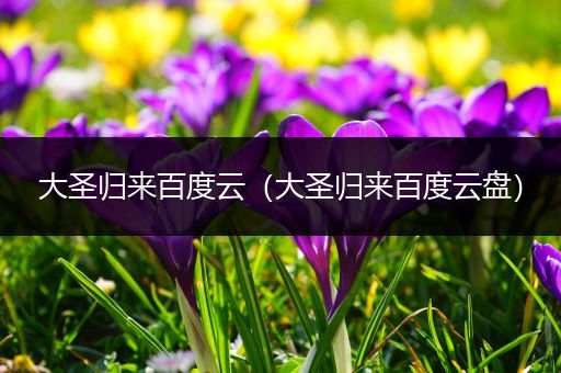 大圣归来百度云（大圣归来百度云盘）