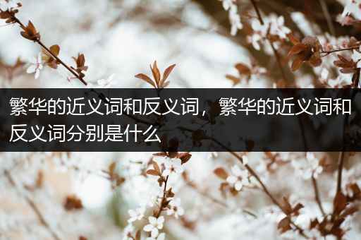 繁华的近义词和反义词，繁华的近义词和反义词分别是什么