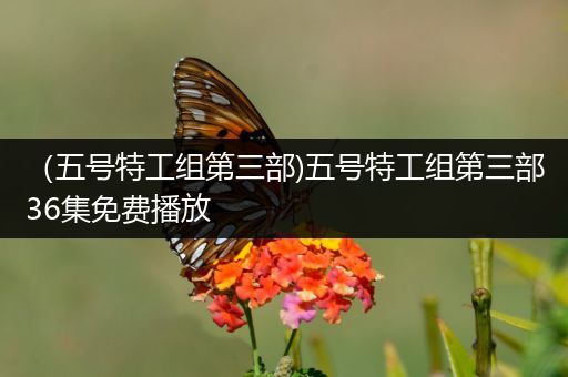 （五号特工组第三部)五号特工组第三部36集免费播放